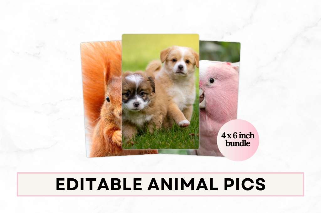 Create mockup