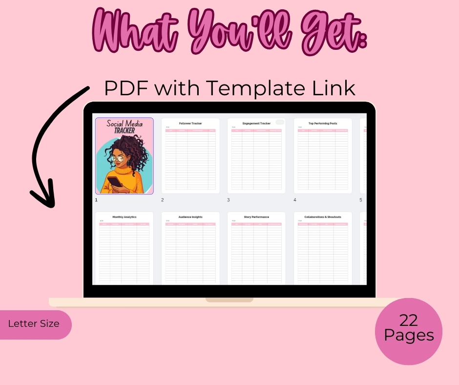 PLR Social Media Follower Tracker - Image 2